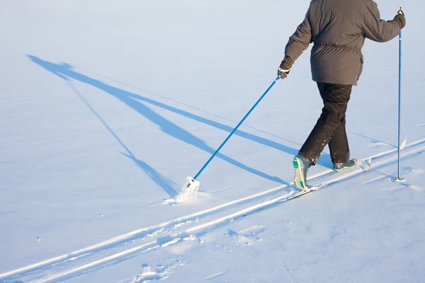 Cross-Country Esquiador sombra longa — Fotografia de Stock