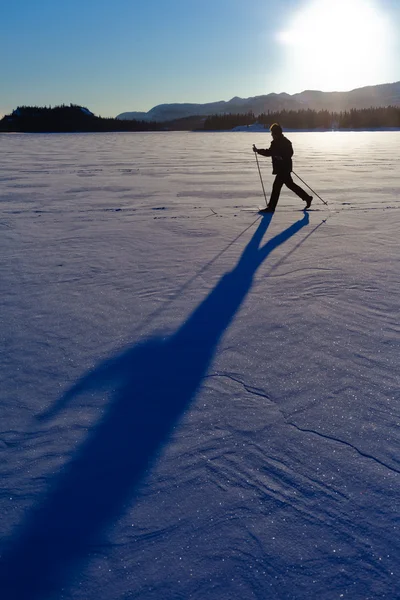 Длинная тень лыжника — стоковое фото
