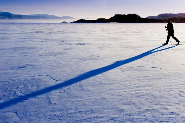 長い影クロスカントリー スキーヤー — ストック写真