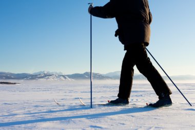 Cross-Country Skier in Tracks clipart