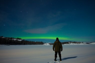 Watching Northern Lights (Aurora borealis) clipart