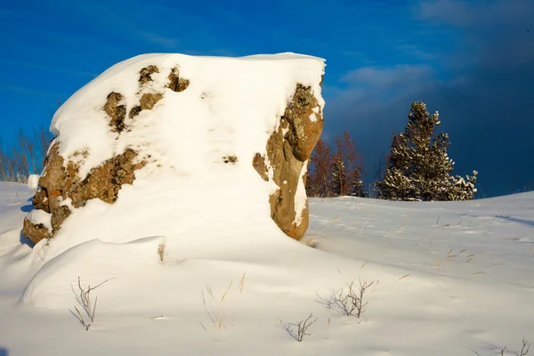 Sne vildmark scene - Stock-foto