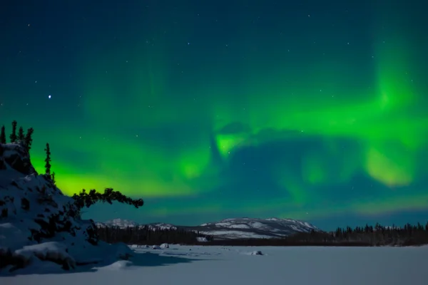 Северное сияние (Aurora borealis ) — стоковое фото