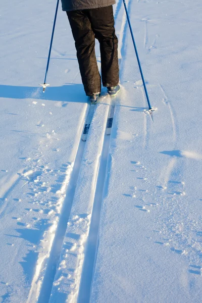 Skilangläufer in Loipen — Stockfoto