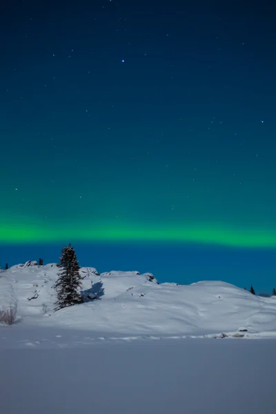 Aurora boreal (Aurora boreal) ) — Foto de Stock