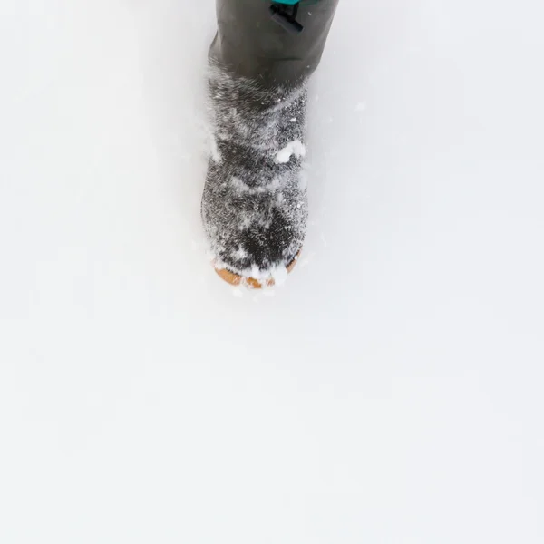 Paseo de nieve en polvo —  Fotos de Stock