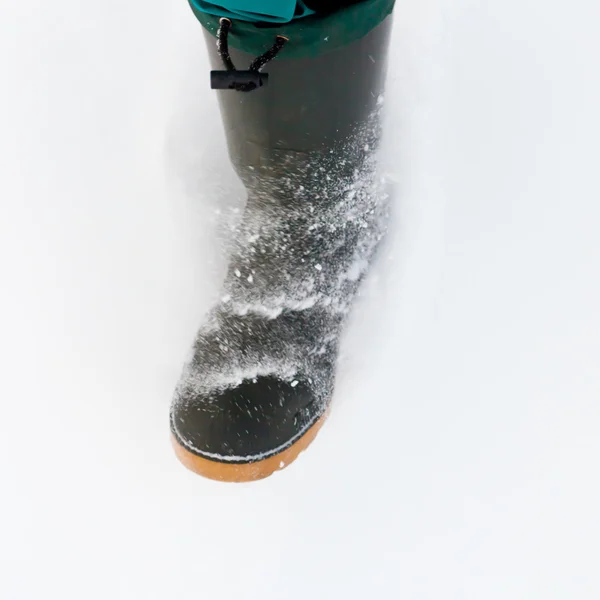 粉の雪の散歩 — ストック写真