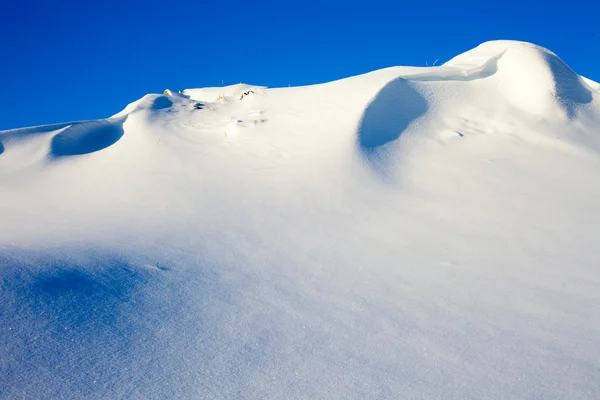 Сніжна сцена пустелі — стокове фото