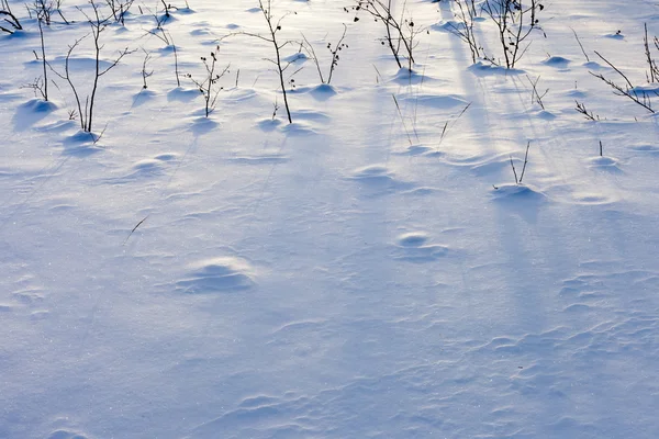 雪の表面 — ストック写真