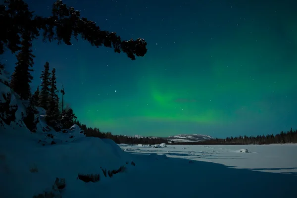 Nordlichter (Polarlichter)) — Stockfoto