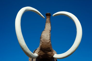 Woolly Mammoth tusks and trunk clipart