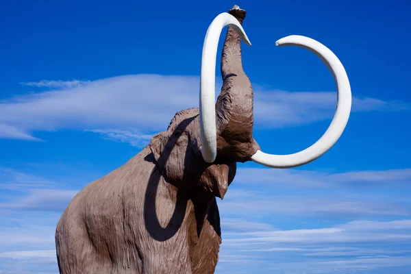 Vlněný mamut — Stock fotografie