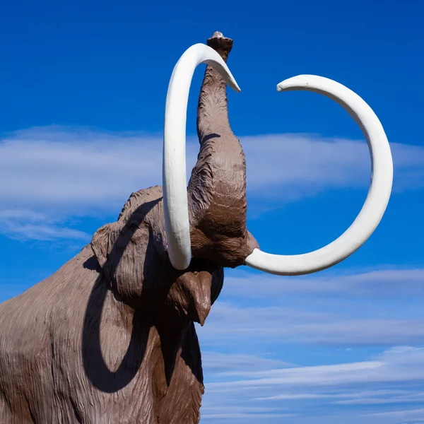 Włochaty mamut — Zdjęcie stockowe