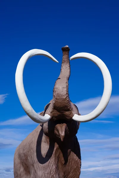 Ull mammut — Stockfoto