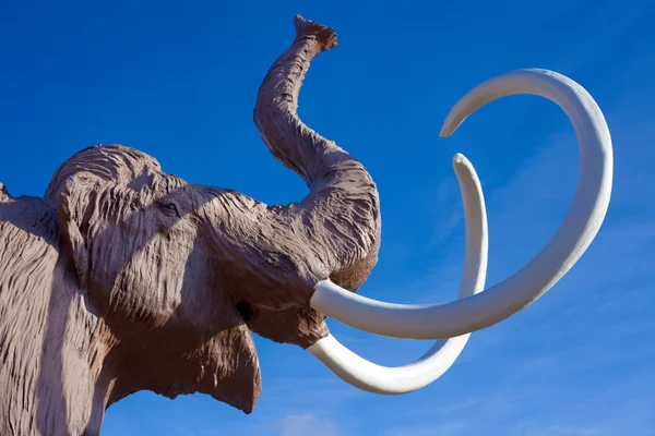 Testa di mammut lanoso — Foto Stock