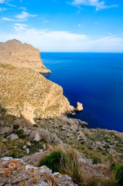 Majorca üzerinde kap