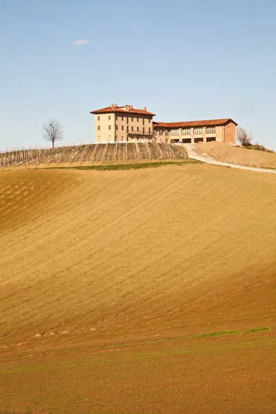 Italian villa with vineyard: spring season — Stock Photo, Image