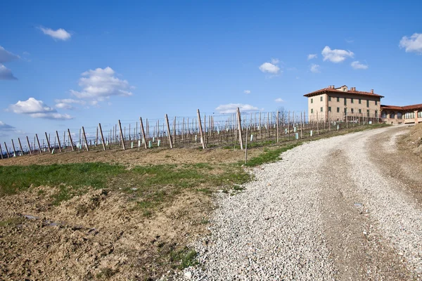 Olasz villa szőlőültetvény: tavaszi szezon — Stock Fotó