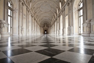 Italy - Royal Palace: Galleria di Diana, Venaria clipart