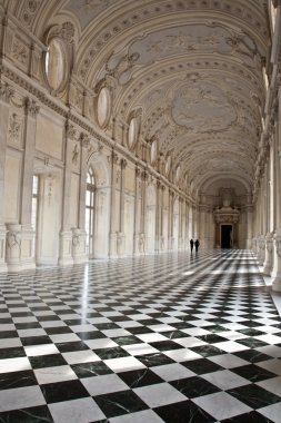 Italy - Royal Palace: Galleria di Diana, Venaria clipart