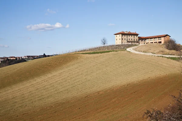 ブドウ畑とイタリアの別荘: 春のシーズン — ストック写真