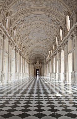 Italy - Royal Palace: Galleria di Diana, Venaria clipart