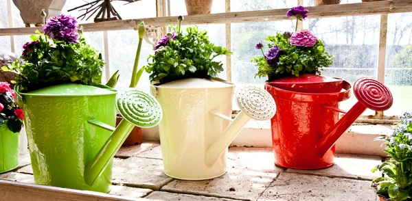 Garden - Watering can — Stock Photo, Image