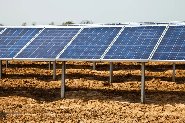 Painel solar planta — Fotografia de Stock