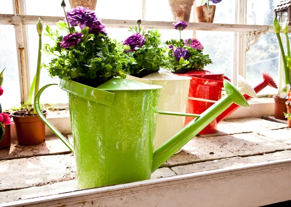 Garden - Watering can — Stock Photo, Image