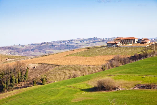 stock image Italian villa with vineyard: spring season