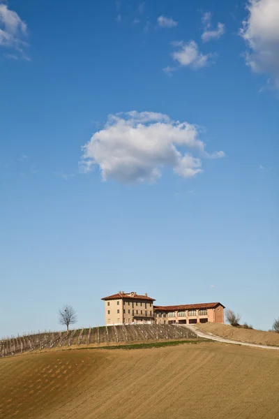 Italské vily s vinicí: jarní sezóny — Stock fotografie