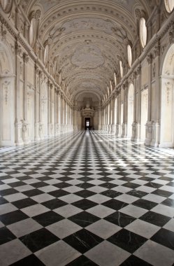 Italy - Royal Palace: Galleria di Diana, Venaria clipart