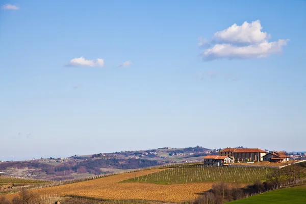 Villa italiana com vinha: estação de primavera — Fotografia de Stock