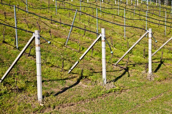 Bewässerungssystem für Weinberge — Stockfoto