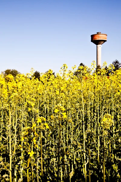 Country and water tower — Stock Photo, Image