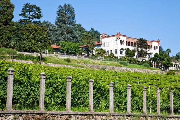 Italienska charmiga villa vingård — Stockfoto