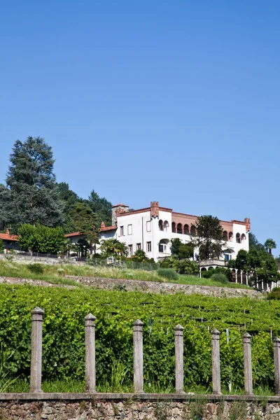İtalyan büyüleyici villa, bağ — Stok fotoğraf