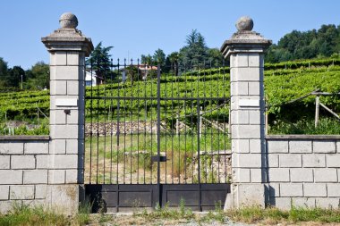 İtalyan büyüleyici villa, bağ