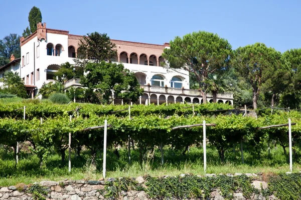 Итальянская очаровательная вилла в винограднике — стоковое фото