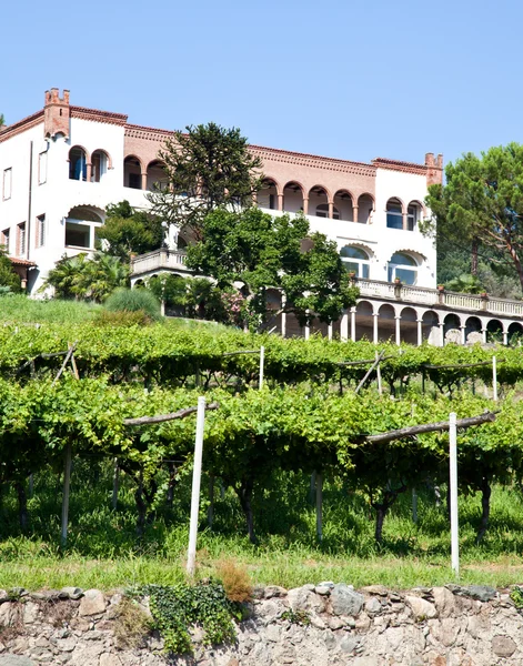 Italiaanse charmante villa in wijngaard — Stockfoto
