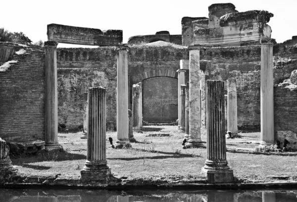 Στήλες λατινικούς — Φωτογραφία Αρχείου