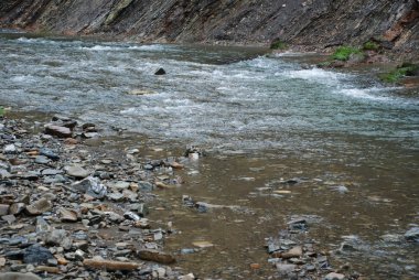 Dağ nehri