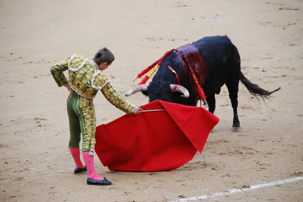 El juego bullfighter Imagen De Stock