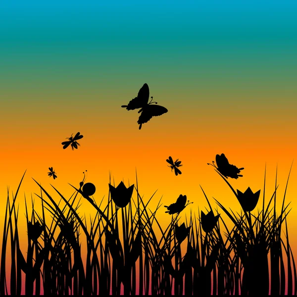 さまざまな昆虫と日没の風景 — ストック写真