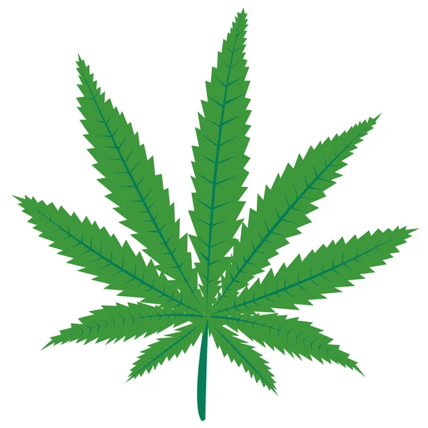 Зелёный лист марихуаны — стоковое фото