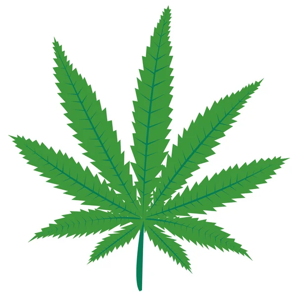 Marijuana green leaf — Stock Photo, Image