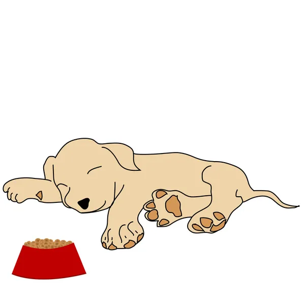 Spící štěně s misku — Stock fotografie