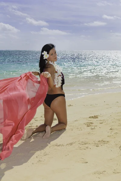 Donna ispanica in bikini in spiaggia — Foto Stock