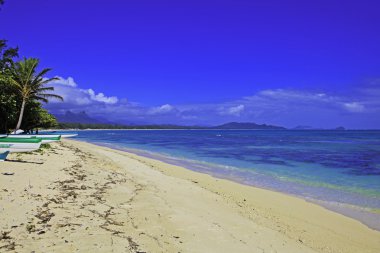 Waimanalo beach, oahu clipart