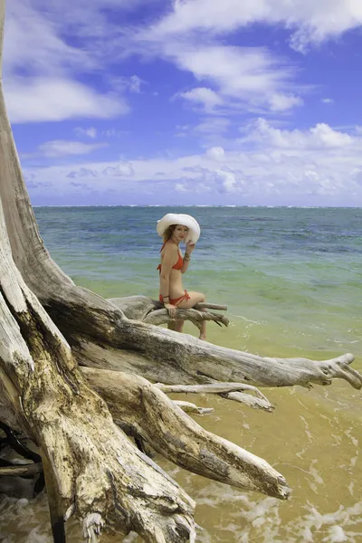 Chica en bikini rojo y sombrero se sienta en un árbol muerto — Foto de Stock